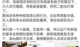 网红石头爆料视频播放,揭秘幕后真相